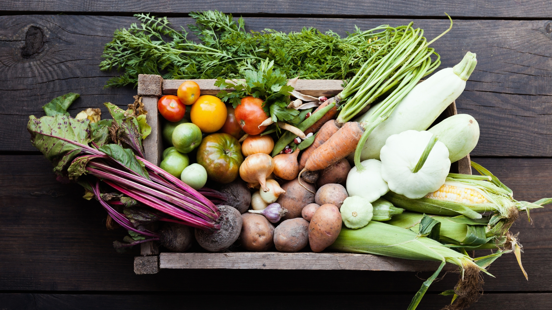 Zrównoważone rolnictwo i systemy żywnościowe